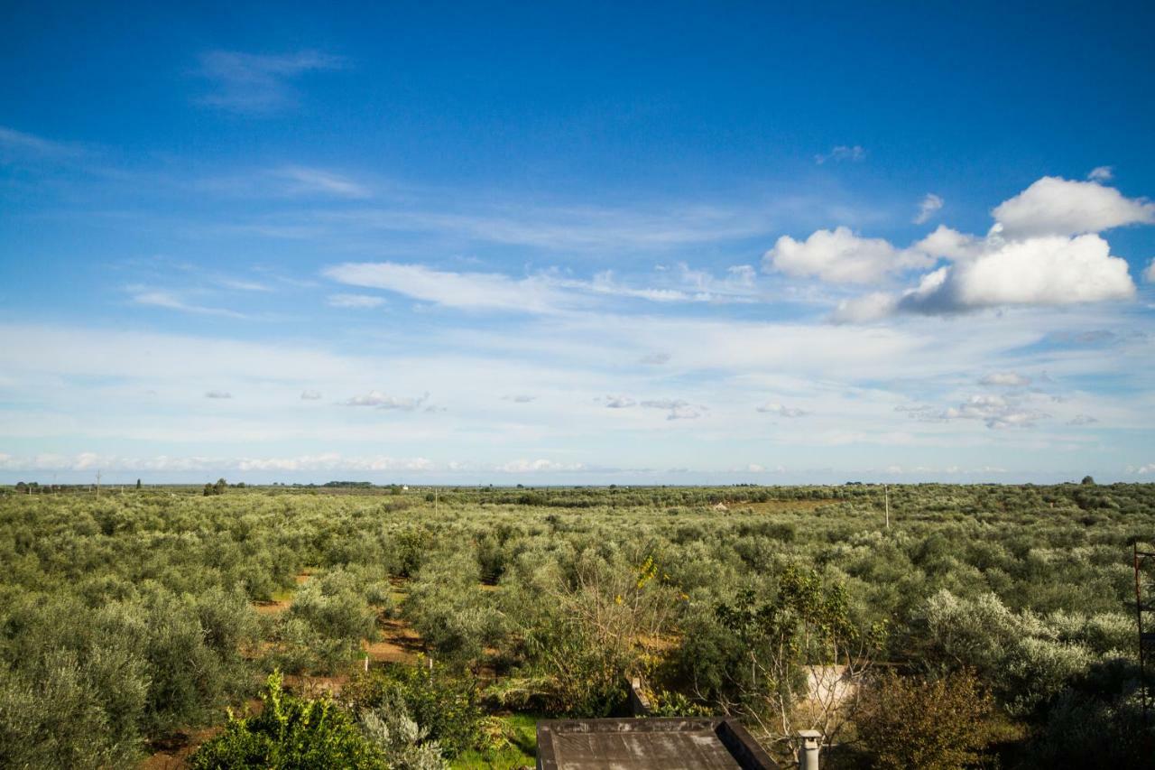 B&B Giordano Mariotto Εξωτερικό φωτογραφία